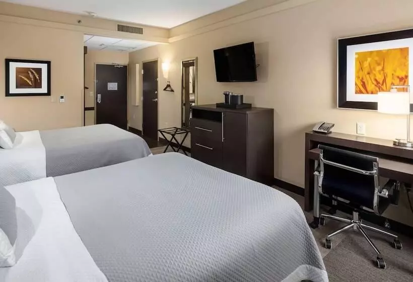 בית מלון כפרי Aerostay