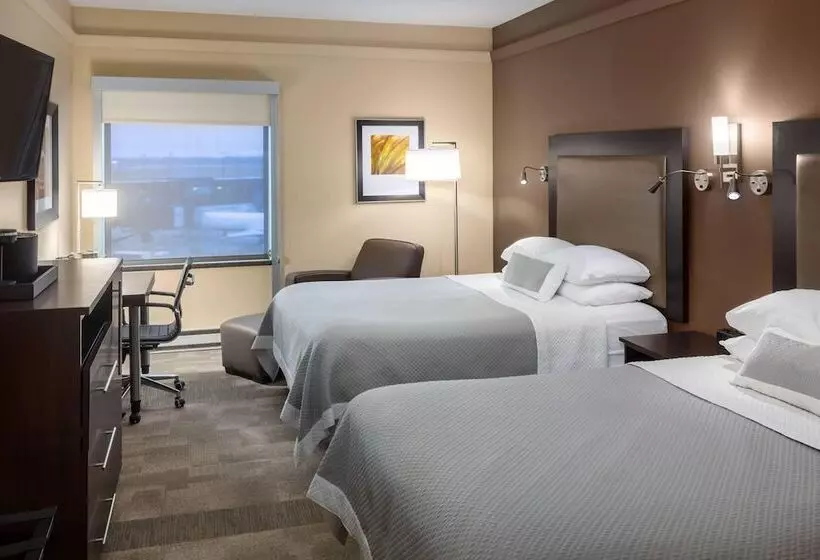 בית מלון כפרי Aerostay