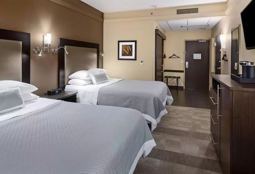 בית מלון כפרי Aerostay