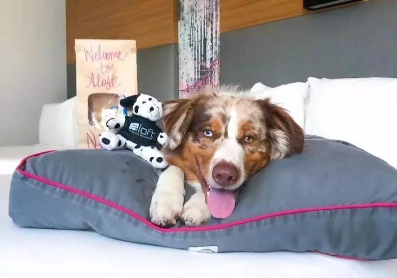 Hotel Aloft Durham Downtown