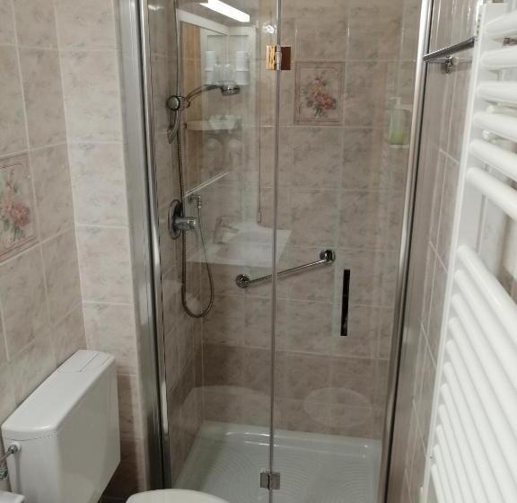 בית מלון כפרי Astor