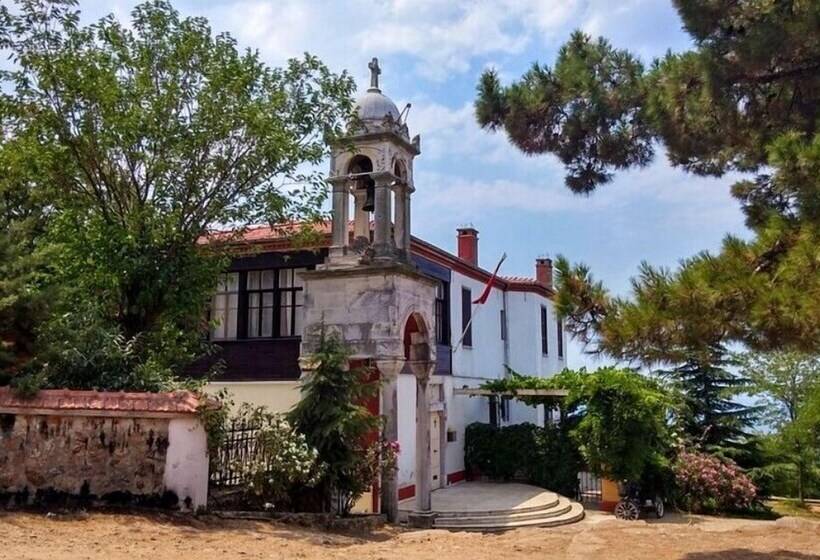 酒店 Büyükada Anastasia Meziki History Mansion