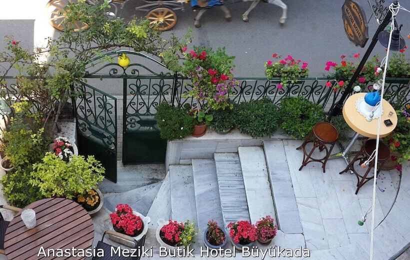 酒店 Büyükada Anastasia Meziki History Mansion