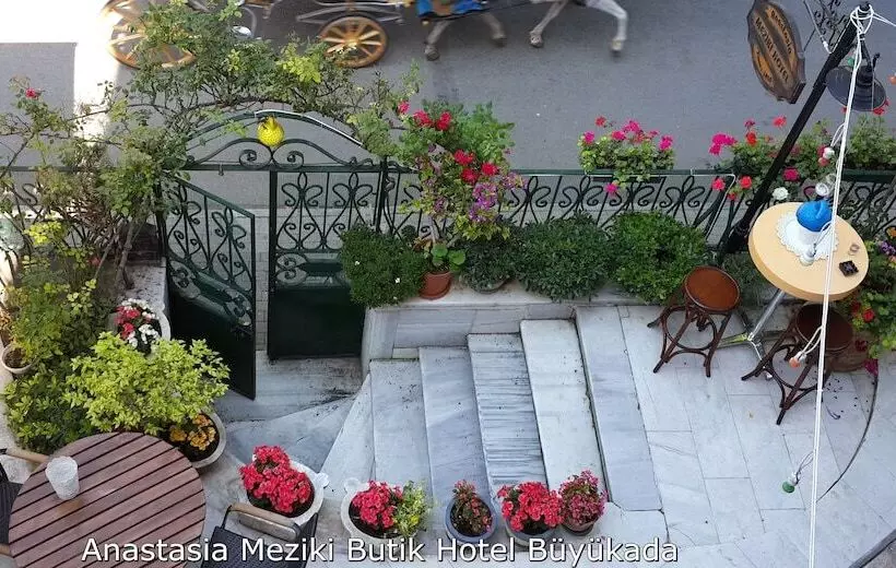 酒店 Büyükada Anastasia Meziki History Mansion