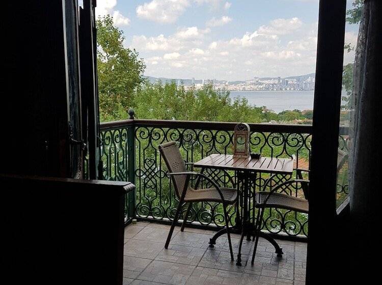 酒店 Büyükada Anastasia Meziki History Mansion