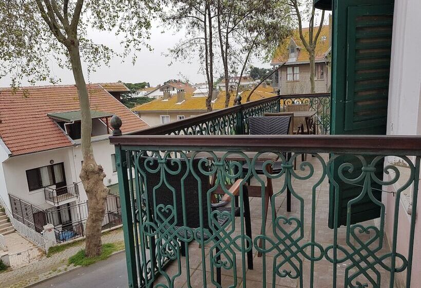 酒店 Büyükada Anastasia Meziki History Mansion