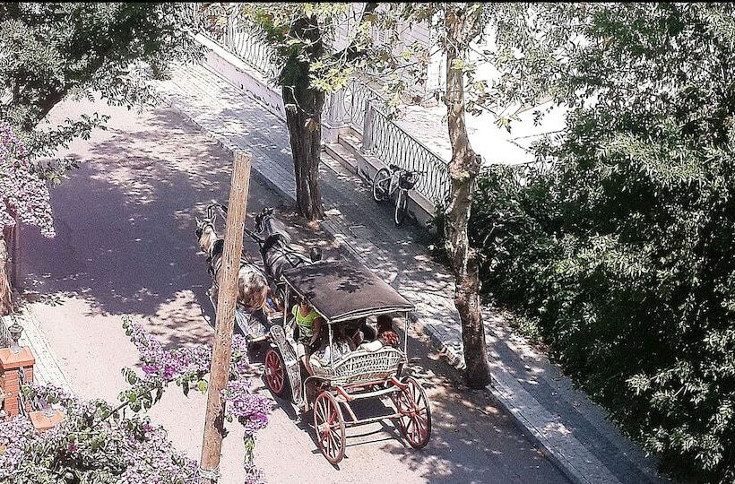 酒店 Büyükada Anastasia Meziki History Mansion