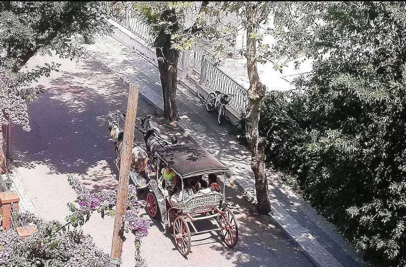 酒店 Büyükada Anastasia Meziki History Mansion