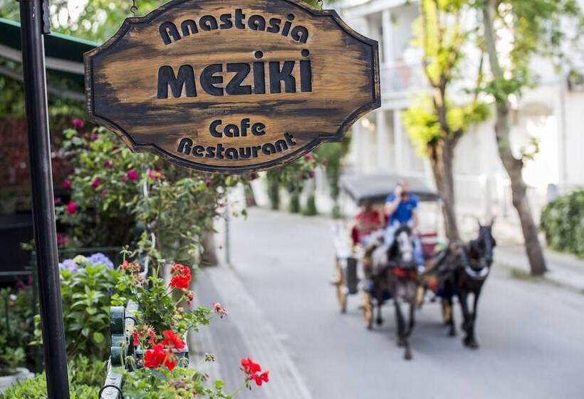 酒店 Büyükada Anastasia Meziki History Mansion