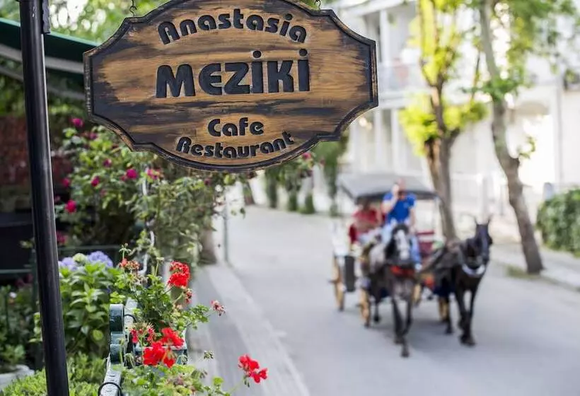 酒店 Büyükada Anastasia Meziki History Mansion