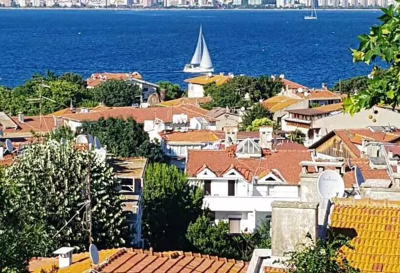 酒店 Büyükada Anastasia Meziki History Mansion