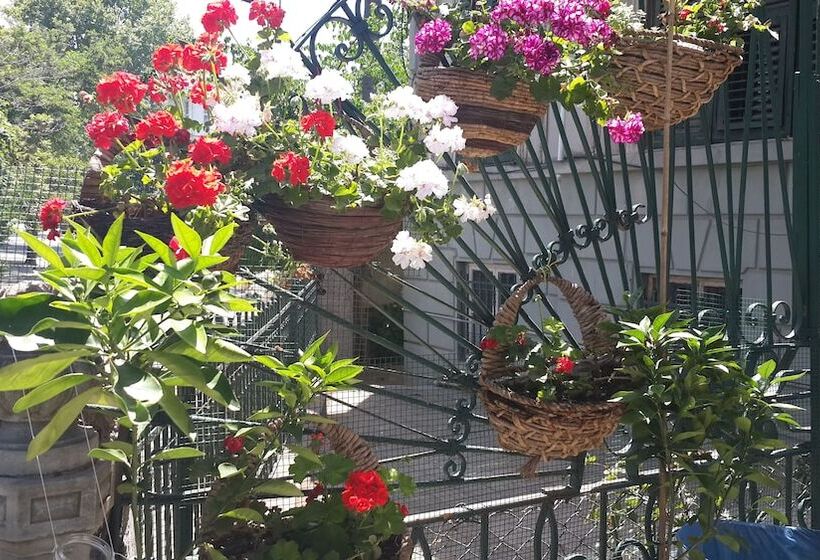 酒店 Büyükada Anastasia Meziki History Mansion