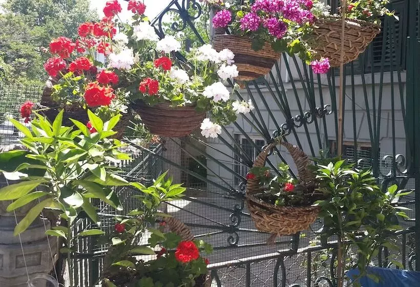 酒店 Büyükada Anastasia Meziki History Mansion