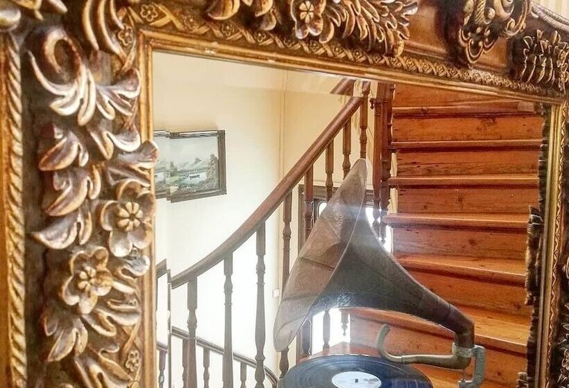 酒店 Büyükada Anastasia Meziki History Mansion