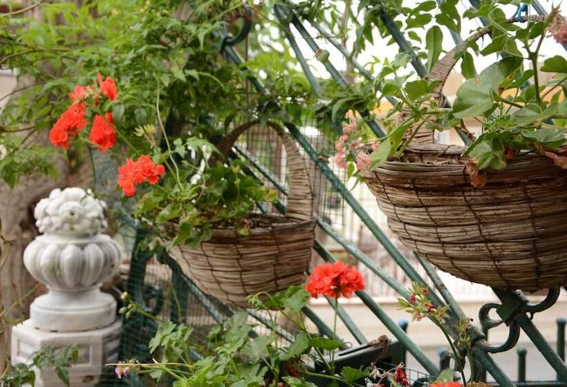 酒店 Büyükada Anastasia Meziki History Mansion