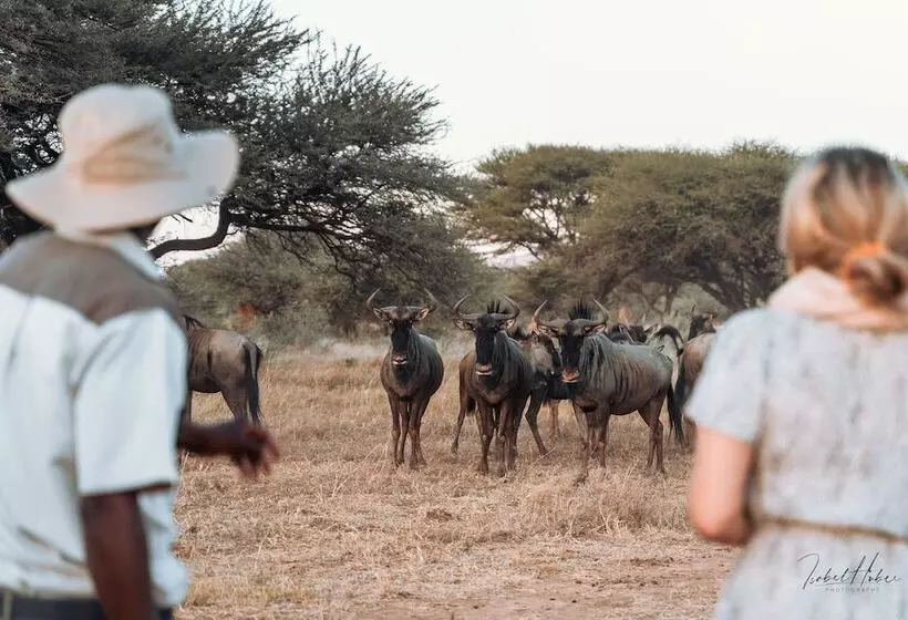 هتل Gabus Game Ranch