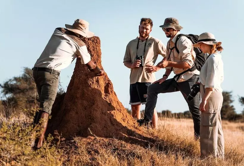 هتل Gabus Game Ranch