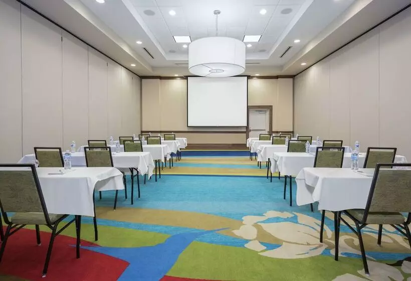 هتل Hilton Garden Inn San Antonio At The Rim