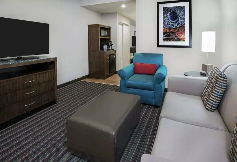 هتل Hilton Garden Inn San Antonio At The Rim