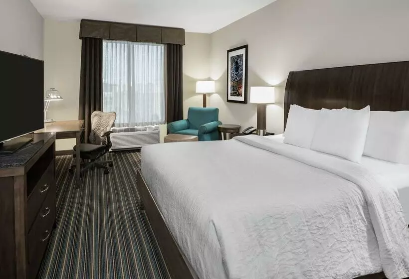 هتل Hilton Garden Inn San Antonio At The Rim