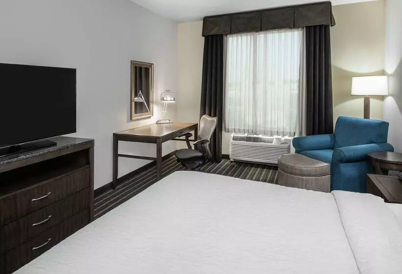 هتل Hilton Garden Inn San Antonio At The Rim