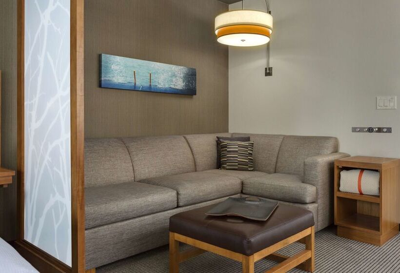 فندق Hyatt Place Chicago/downtown   The Loop