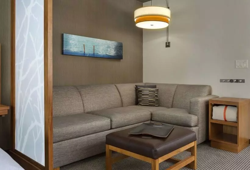 فندق Hyatt Place Chicago/downtown   The Loop