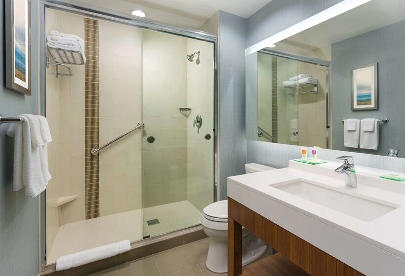 فندق Hyatt Place Chicago/downtown   The Loop