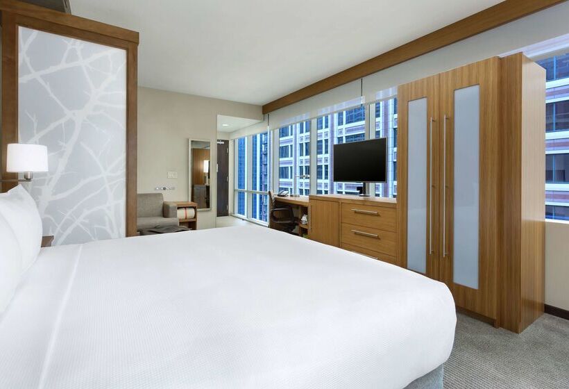 فندق Hyatt Place Chicago/downtown   The Loop