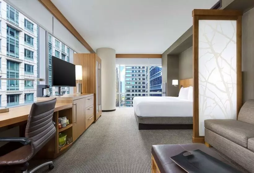فندق Hyatt Place Chicago/downtown   The Loop