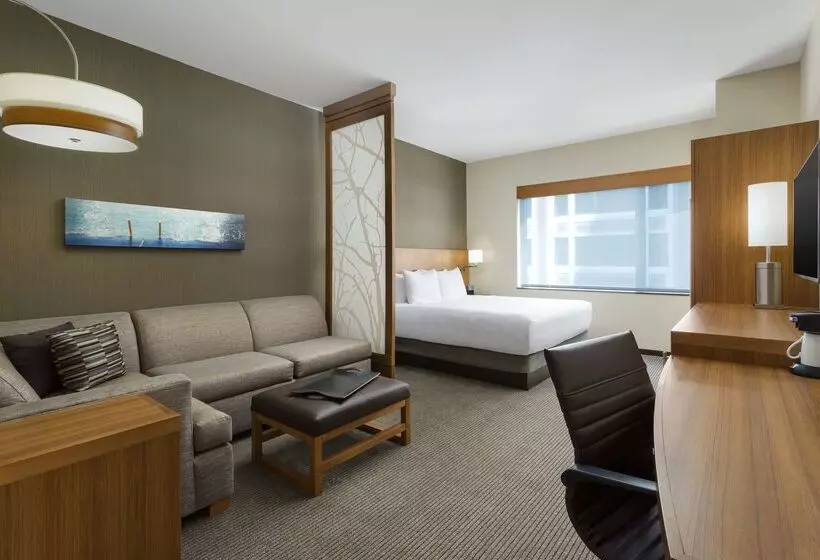 فندق Hyatt Place Chicago/downtown   The Loop