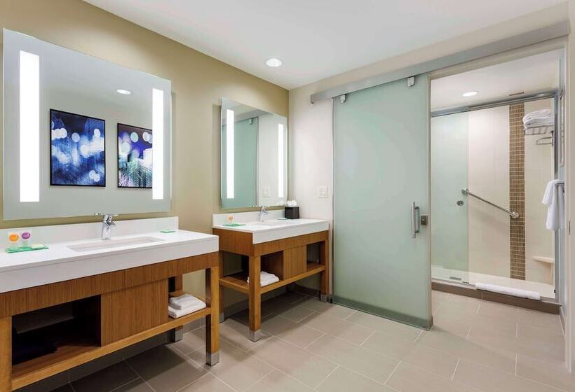 فندق Hyatt Place Chicago/downtown   The Loop