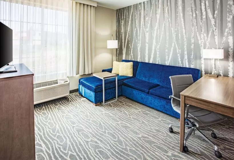 فندق La Quinta By Wyndham Duluth