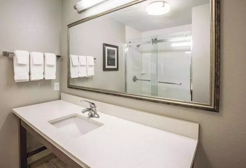 فندق La Quinta By Wyndham Duluth