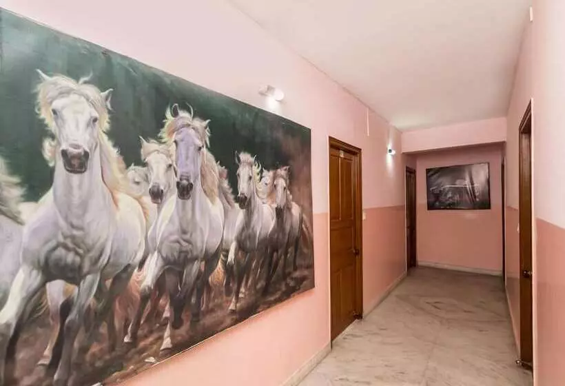 בית מלון כפרי Malik Guest House