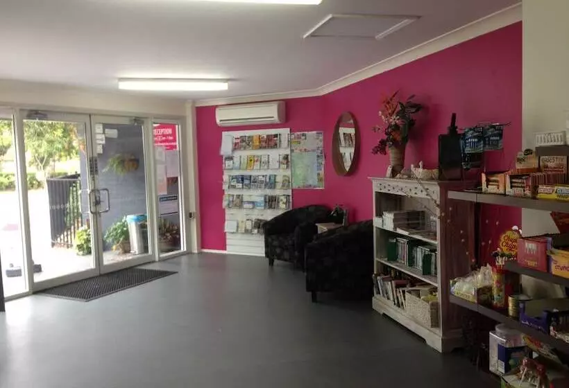 酒店 Toowoon Bay Holiday Park