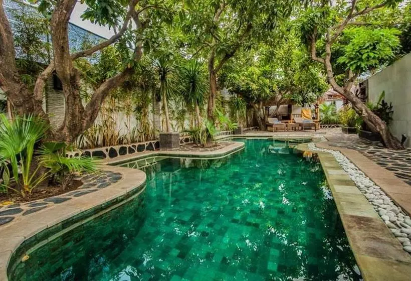 Motel Scallywags Mango Retreat