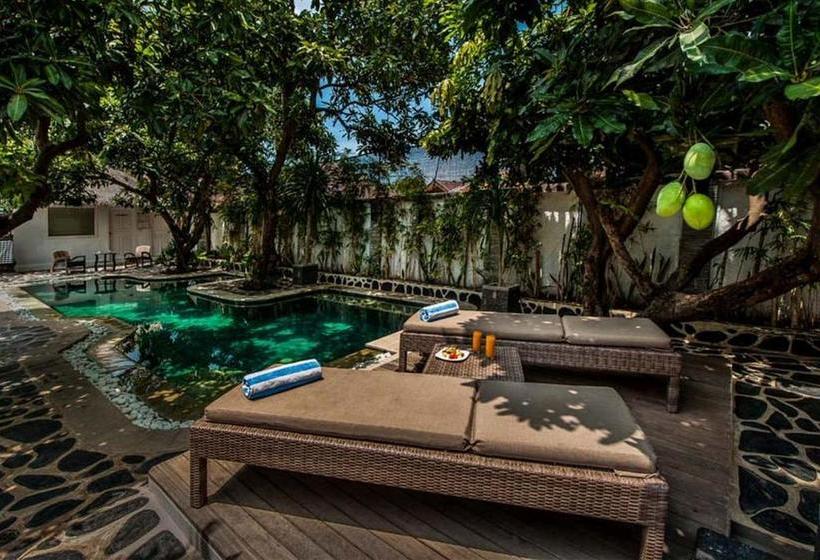 모텔 Scallywags Mango Retreat