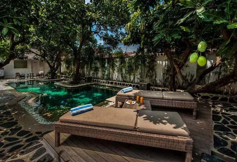 Motel Scallywags Mango Retreat