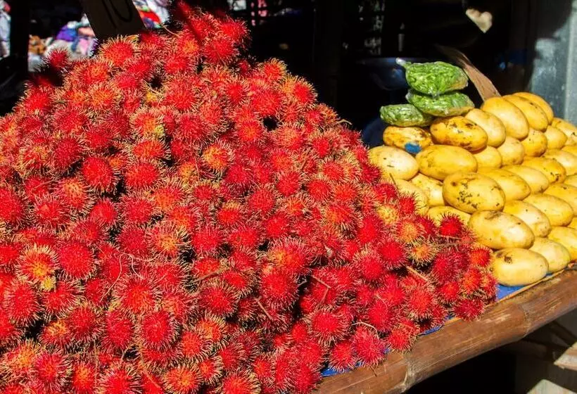 Vida Homes Condo Resort