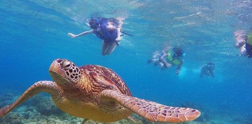 Vida Homes Condo Resort