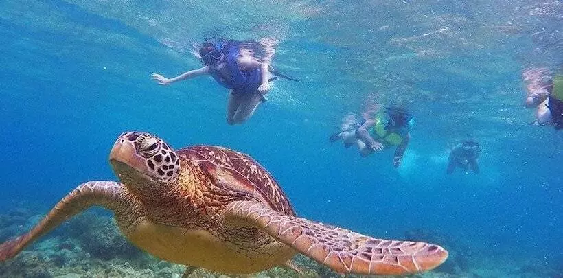 Vida Homes Condo Resort