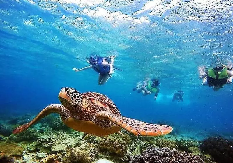 Vida Homes Condo Resort