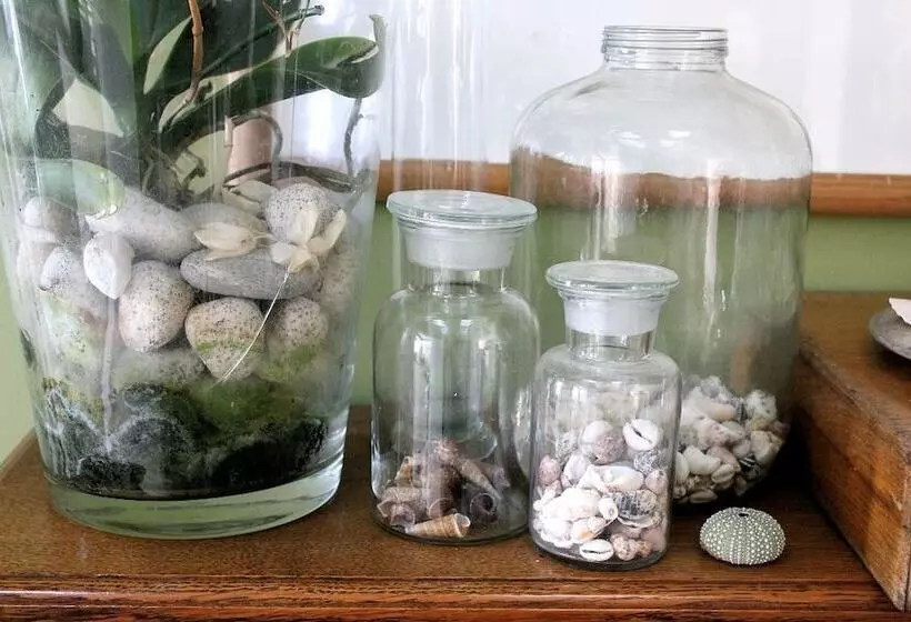 ホテル 970 Lonely Bay Lodge