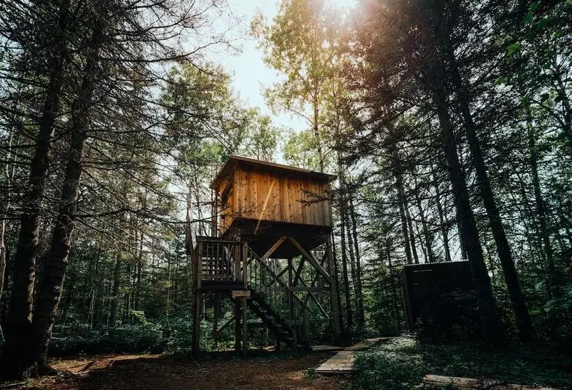 בית מלון כפרי Canopee Lit