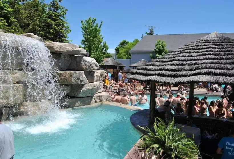 ホテル Commodore Resort