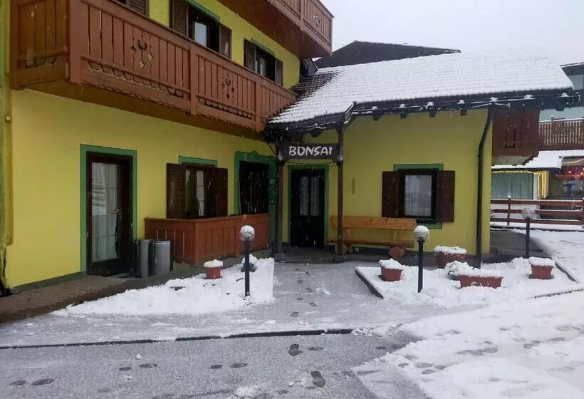 Отель Garnì Bonsai