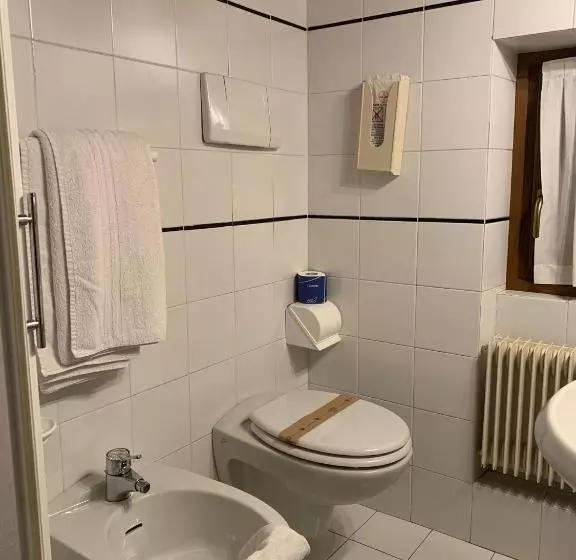 Отель Garnì Bonsai