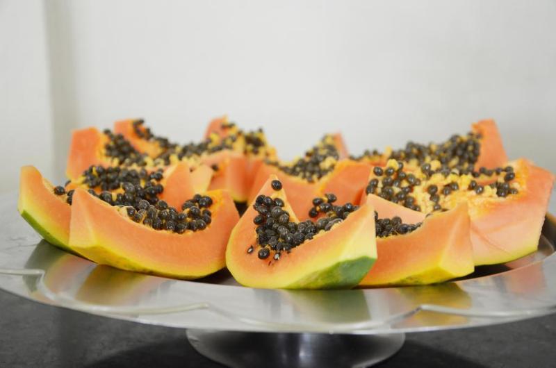 Отель Inacio Palace