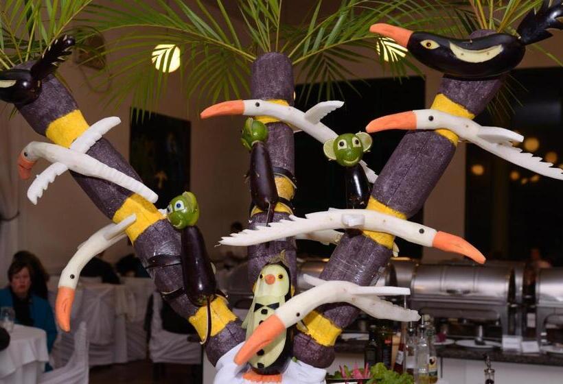 فندق Internacional Gravatal